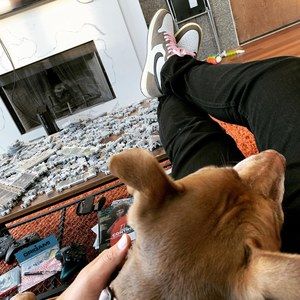 Meet your Posher, Mike